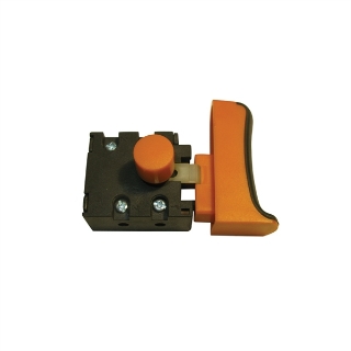 Picture of SWITCH 110V